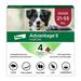 Advantage II Vet-Recommended Flea Prevention for Large Dogs 21-55 lbs 4-Monthly Treatments