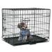 Zimtown 24 Dog Kennel Folding Steel Crate Pet Cage Animal Cage 2 Door Indoor Outdoor