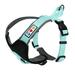 Pawtitas Padded Reflective Dog Harness Large Adjustable Teal Dog Harness