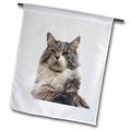 3dRose Print of Maine Coon Cat Painting - Garden Flag 12 by 18-inch