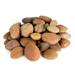 Mexican Beach Pebbles Round River Rock Landscape Garden Stones 20 pounds