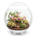 biOrb AIR 60 LED Terrarium With LED Lights - Acrylic White