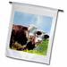 3dRose Cow of Aosta Valley Vetan Aosta Valley Italian Alps Italy Polyester 2 3 x 1 6 Garden Flag
