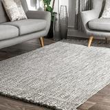 nuLOOM Courtney Braided Indoor/Outdoor Area Rug 4 x 6 Salt and Pepper