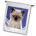 3dRose Siamese Kitten - Garden Flag 18 by 27-inch