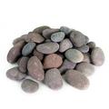 Mexican Beach Pebbles Round River Rock Landscape Garden Stones 40 pounds