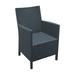 Compamia California Wicker-look Outdoor Chair in Dark Gray - Set of 2