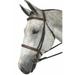 Henri De Rivel Pro Mono Crown Fancy Padded Bridle