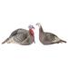 Hunters Specialties 100005 Strut-Lite Hen and Jack Turkey Decoy