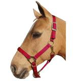 Intrepid International 1ZAS811RD Nylon Horse Halter Horse - Red