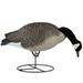 Dakota Decoy 19200 Waterfowl Hunting Signature Series Feeder Geese (6 Pack)