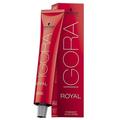 Schwarzkopf Igora Royal Absolutes Permanent Color Choose Your Shade ( Shade:6-80 Dark Blonde Red Natural;)