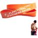 Functional Fitness Bands - Resistance and Workout Bands Pull Up Assistance & Exercise Bands