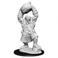 WizKids WZK90041 Pathfinder Ogre Battles Deep Cuts Wave 11 Miniature