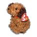 Ty Beanie Baby: Tunnels the Dog | Stuffed Animal | MWMT s