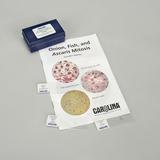 Ascaris Fish And Onion Mitosis Microscope Slide And Study Guide Set