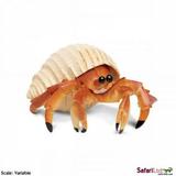 Incredible Creatures Hermit Crab