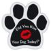 Dog Paw Shaped Magnets: Did You Kiss Your Dog Today? w/Lips | Dogs Gifts Cars