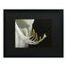 Trademark Fine Art Intimate Amaryllis Canvas Art by Kurt Shaffer