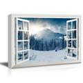 3D Visual Effect View Through Window Frame Snow Covered Pine Tree Forest Gallery 16x24 inches