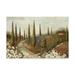 Trademark Fine Art Tuscany Fields I Canvas Art by Lisa Audit