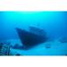 Hawaii Maui Kihei Front View Of St. Anthony Wreck In Deep Blue Water Poster Print (38 x 24)