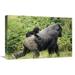 16 x 24 in. Western Lowland Gorilla with Baby on Its Back Central Africa Art Print - Konrad Wothe