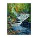 Trademark Fine Art Genesee River in Autumn Canvas Art by David Lloyd Glover