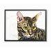 Stupell Industries Cute Cat Pet Animal Watercolor Painting Framed Giclee Texturized Art by George Dyachenko