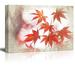 wall26 Canvas Print Wall Art Paint Splatter View of Autumn Maple Leaves Nature Wilderness Photography Realism Rustic Scenic Colorful Multicolor for Living Room Bedroom Office - 32 x48