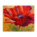 Trademark Fine Art Red Poppy II Wooden Wall Art Art by Marion Rose