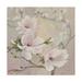 Trademark Fine Art Blushing Magnolias Canvas Art by Julia Purinton