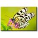 Butterfly Sipping Flower Nectar Modern Picture on Stretched Canvas Wall Art DÃ©cor Ready to Hang