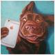 Empire Art Direct Dog Selfie Graphic Art Print on Wrapped Canvas Wall Art 18 x 18 x 2 Ready to Hang