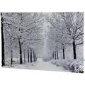 Northlight Fiber Optic Lighted Winter Lane Snowfall Christmas Canvas Wall Art 23.5 x 15.75