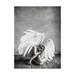 Trademark Fine Art Angel Bold Canvas Art by PhotoINC Studio