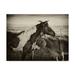 Trademark Fine Art Kissing Horses II Canvas Art by David Drost