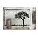 Trademark Fine Art July Tree 3 Canvas Art by LightBoxJournal