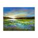 Trademark Fine Art Radiant Evening Canvas Art by Sheila Finch