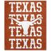 Texas Longhorns 60" x 70" Echo Wordmark Lightweight Blanket