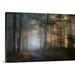 The Twillery Co.® Straub Autumn Symphony by Norbert Maier - Photograph Metal in Green | 32 H x 48 W x 1.5 D in | Wayfair