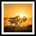 The Twillery Co.® Straub Golden Sunrise by Piet Flour - Photograph Print Metal | 32 H x 32 W x 1 D in | Wayfair 4F5A3F4244734D60B19B58993842614F