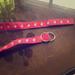 J. Crew Accessories | J.Crew Belt Size M/L | Color: Pink | Size: Medium/Large