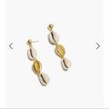 Madewell Jewelry | Madewell Cowrie Shell Drop Earring | Color: Gold | Size: 2.5”