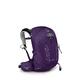 Osprey Tempest 20 Wanderrucksack für Frauen Violac Purple - WXS/S