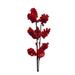 Primrue Organically Sustainable Handmade Canterbury Bells Stem Natural Fibers, Wood in Red | 24 H x 6 W x 6 D in | Wayfair