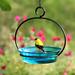 Latitude Run® Diederick Cuban Tray Bird Feeder Glass, Metal in Blue | 9.38 H x 7.25 W x 7.25 D in | Wayfair 8E9111D950194DF7886982F36A8E4434