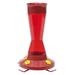 Latitude Run® Perky Pet Pinch Waist Plastic Hummingbird Feeder w/ Free Nectar Plastic in Red | 10.5 H x 7.1 W x 7.1 D in | Wayfair