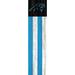 Carolina Panthers 48'' Team Flag Leaner