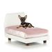 Lido Orthopedic Dog Bed, 18" L X 20" W X 18" H, Pink, Small